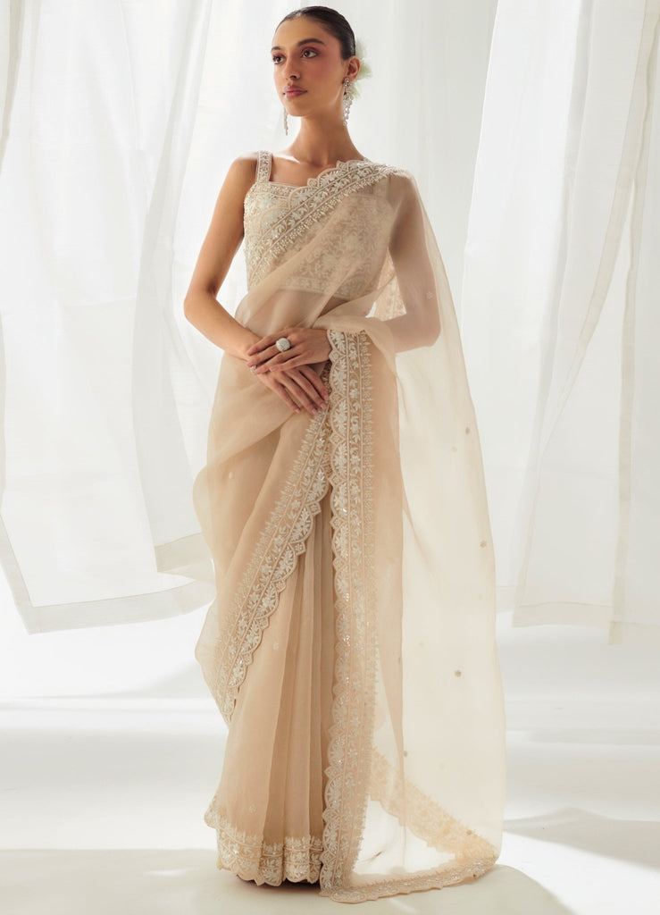 Soft Linen Organza Saree With Zari Pattu Border in Beige Colour